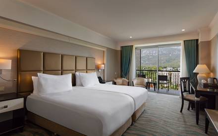 Standard Land View Room