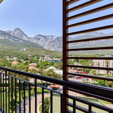 Standard Land View Room